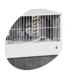 frižider za limenke